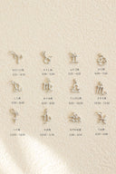 Zodiac necklace / silver