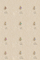 Star charm + Zodiac necklace / silver