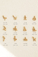 Zodiac necklace / gold