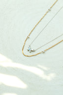 Butterfly 2set necklace