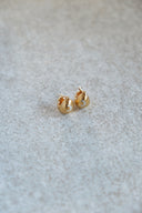 crescent plump  pierce