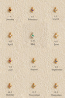 Star charm + Zodiac necklace / gold