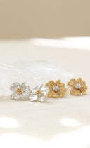 Dogwood pierce