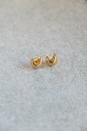 crescent plump  pierce