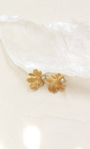 Dogwood pierce