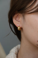 crescent plump  pierce