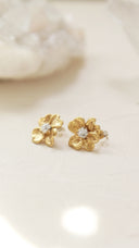 Dogwood pierce