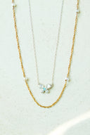 Butterfly 2set necklace