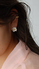 Dogwood pierce