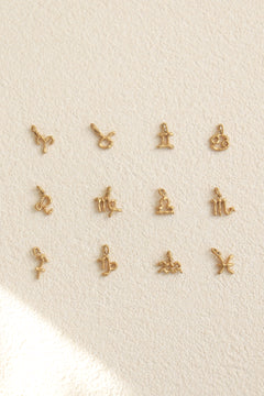 Zodiac necklace / gold / 受注生産 / おひつじ座