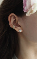 rose pierce / (１０分咲き)