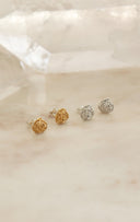 rose pierce / (１０分咲き)