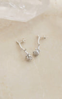 Rose pierce / (七分咲き)