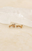 Sweet alyssum pierce