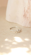 Osmanthus ring