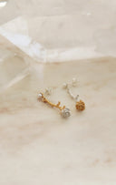 Swing rose pierce / (七分咲き)