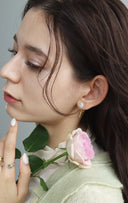 rose pierce / (１０分咲き)
