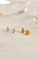 rose pierce / (１０分咲き)