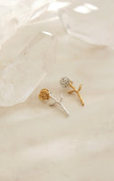 rose pierce / (１０分咲き)
