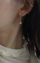 Swing rose pierce / (七分咲き)