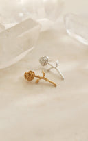 rose pierce / (１０分咲き)