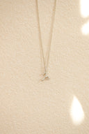 Zodiac necklace / silver