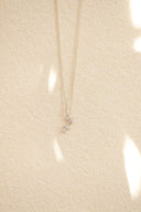 Zodiac necklace / silver