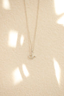 Zodiac necklace / silver