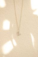 Zodiac necklace / silver