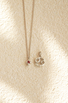 Star charm + Zodiac necklace / silver / 受注生産 / おひつじ座 / 3月誕生石(アクアマリン)