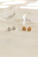 rose pierce / (１０分咲き)