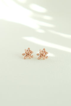 Osmanthus pierce S / 受注生産
